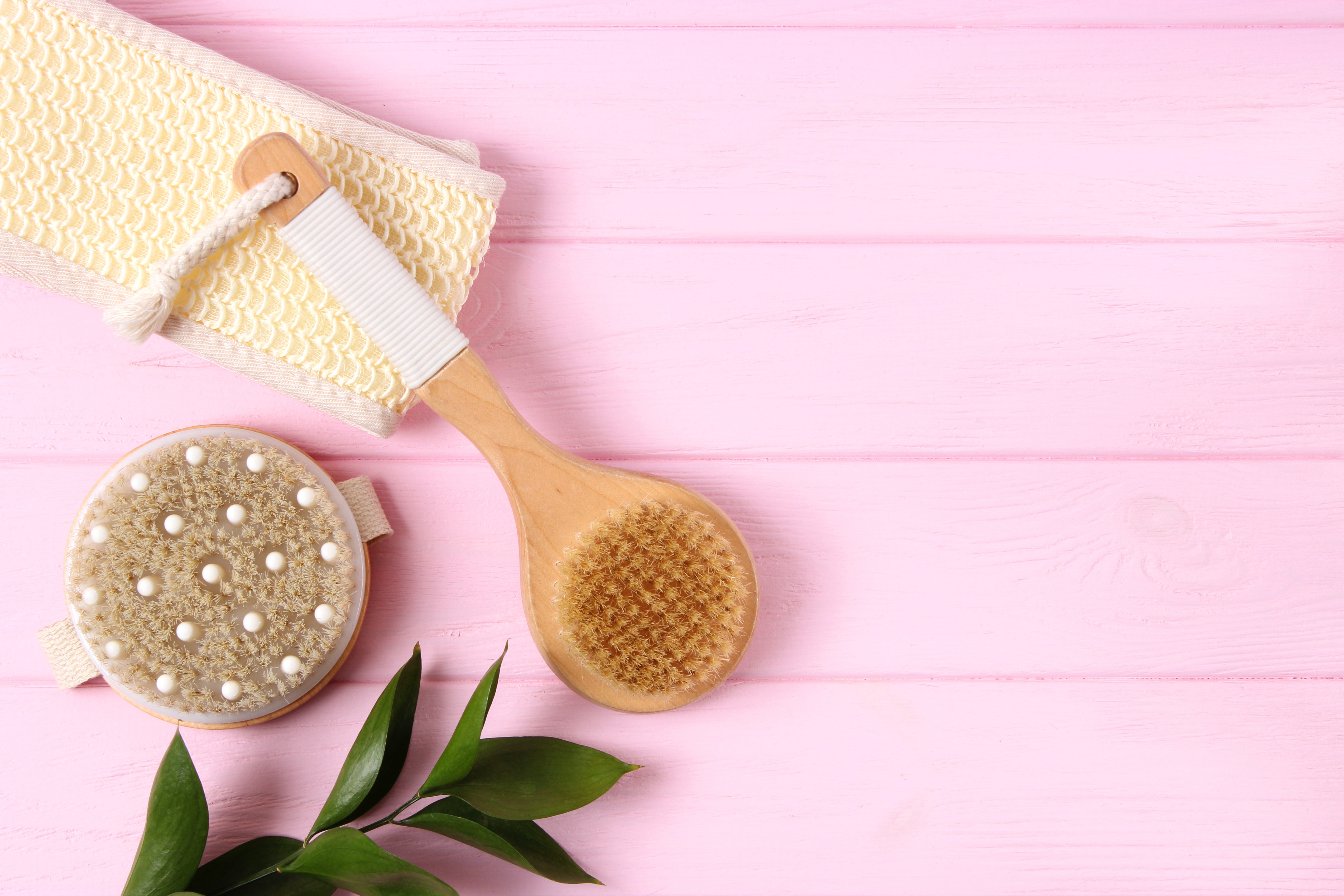 Everything to Know About Dry Brushing Your Skin – Sundree