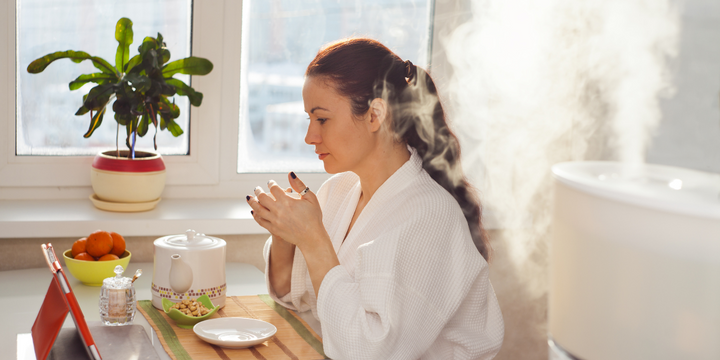The Hydrating Power of Humidifiers: A Solution for Dry Skin